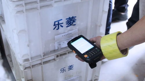 数字化与政策双轮驱动 小家电产业集群的转型与创新之路